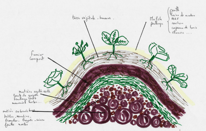 comment planter en permaculture